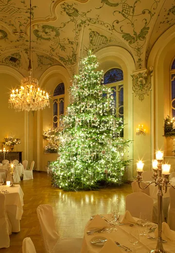 Weihnachtsbaum im Barocksaal St. Peter